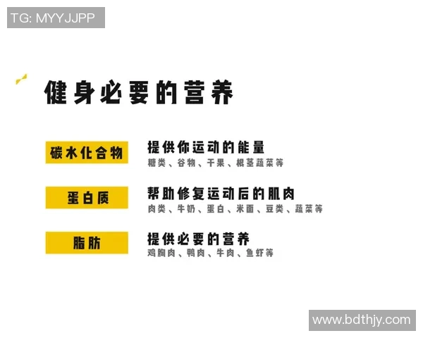 全面提升身体素质的健身计划与营养搭配指南